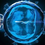 Beyond Conventional Methods: A Closer Look at ICSI Technology